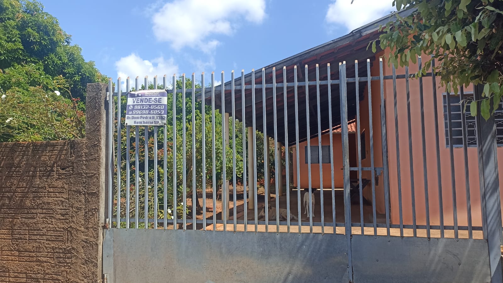 WhatsApp Image 2026-02-02 at 09.03.21.jpeg